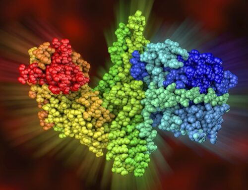 Botulinum Toxin A for cosmetic use in the United States